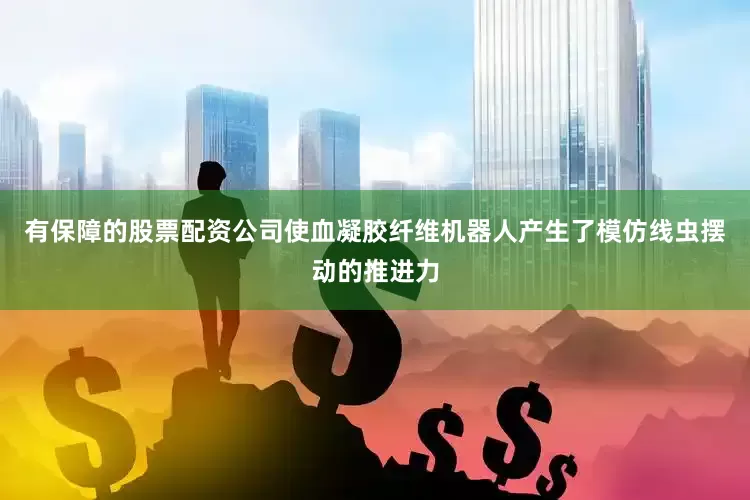 有保障的股票配资公司使血凝胶纤维机器人产生了模仿线虫摆动的推进力